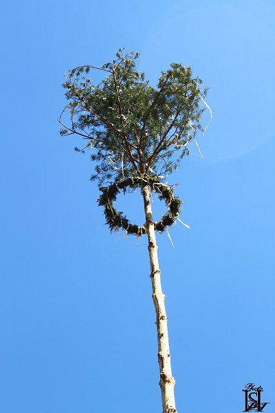 Stavanie maja 2014    41.JPG